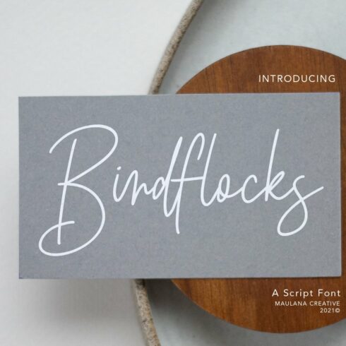 Birdflocks Script Font cover image.