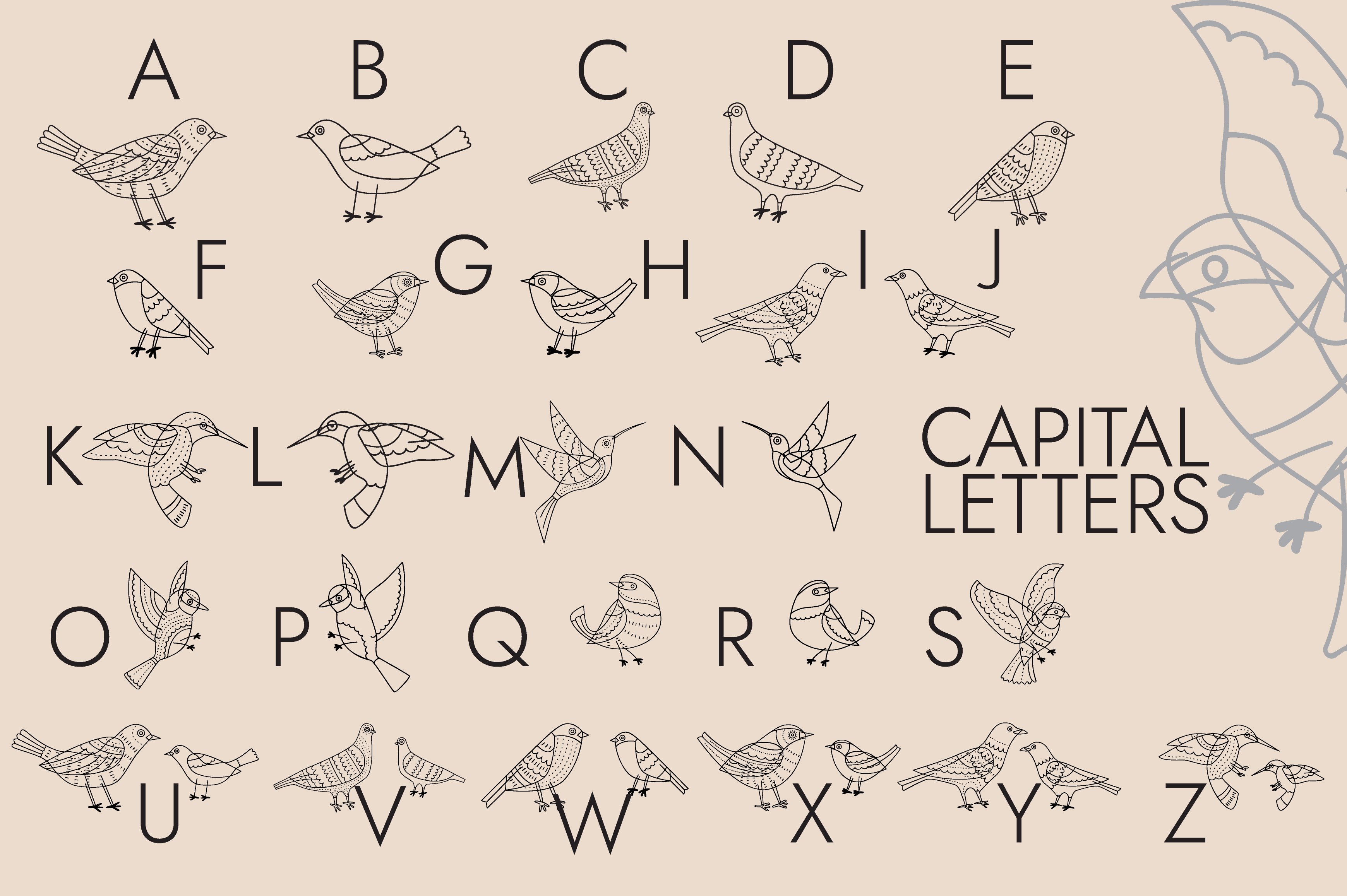 birds and butterflies fonts 19318967 2 662