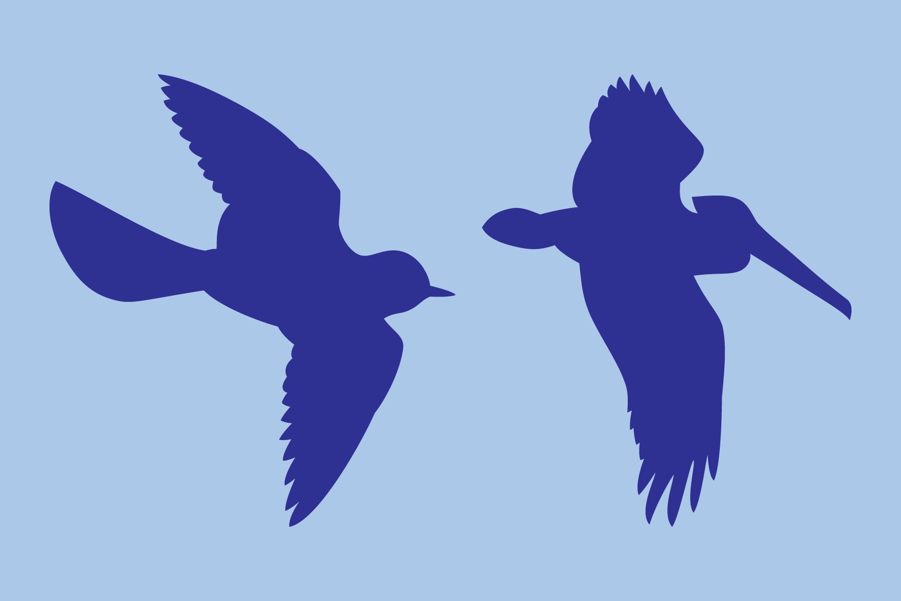 Birds Flying Font preview image.