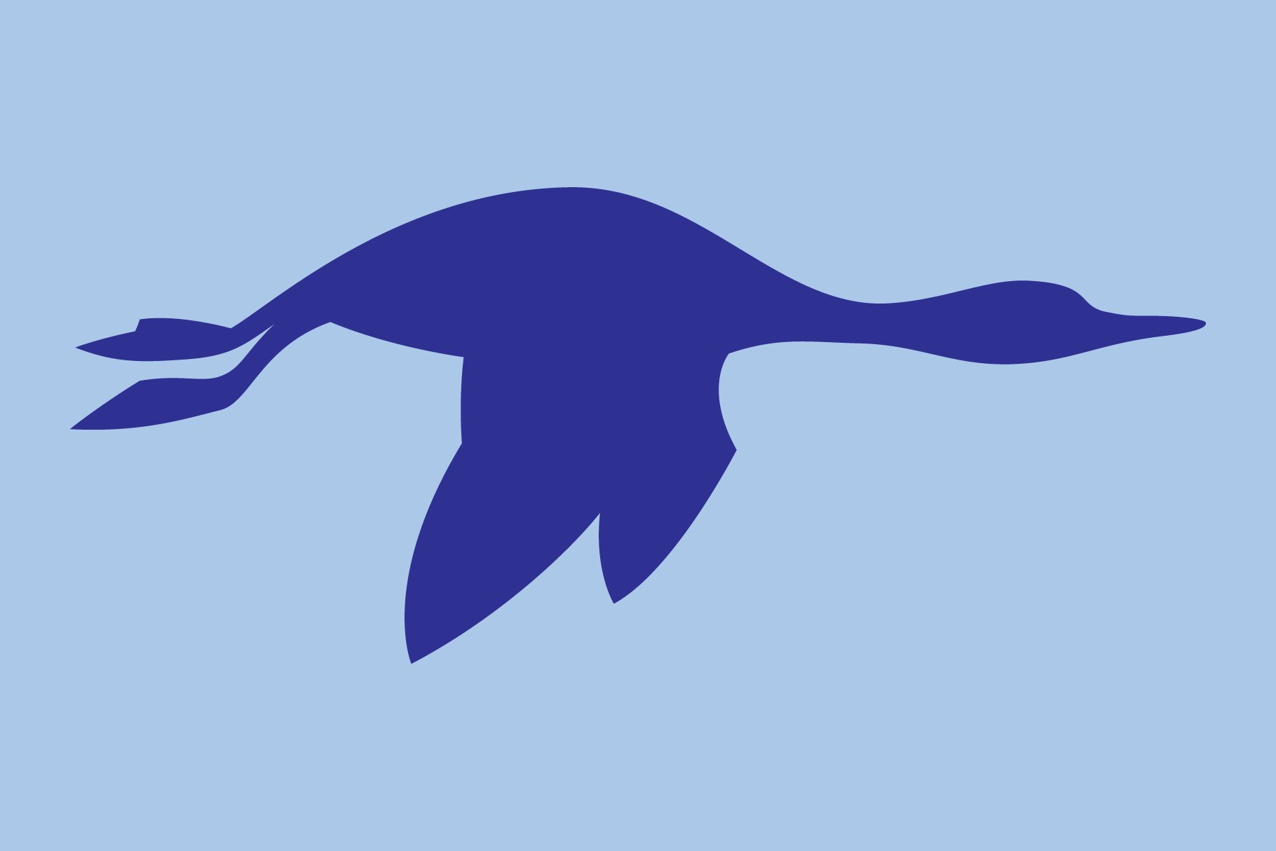 birds flying banners 05 319