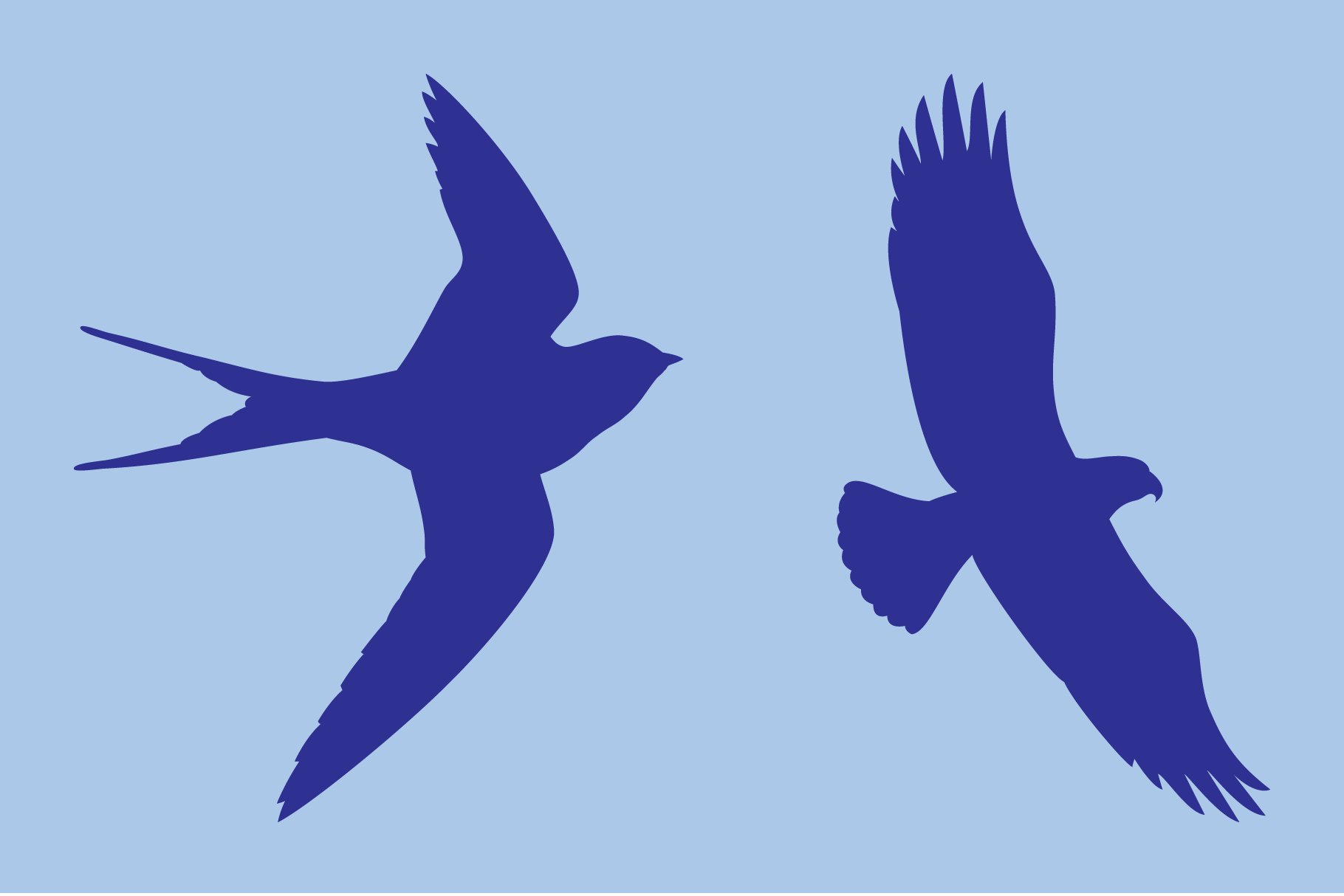 birds flying banners 06 988