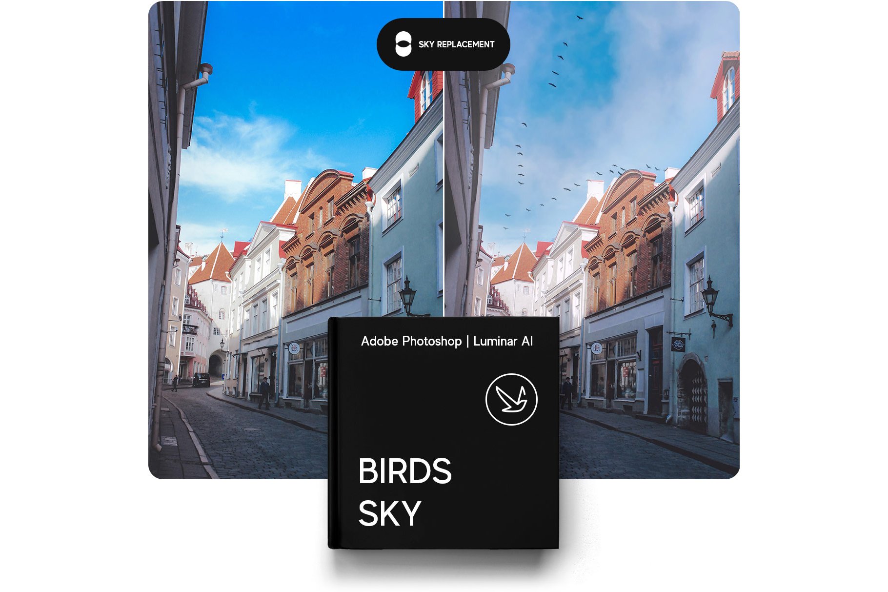 birds sky replacement pack 1 668