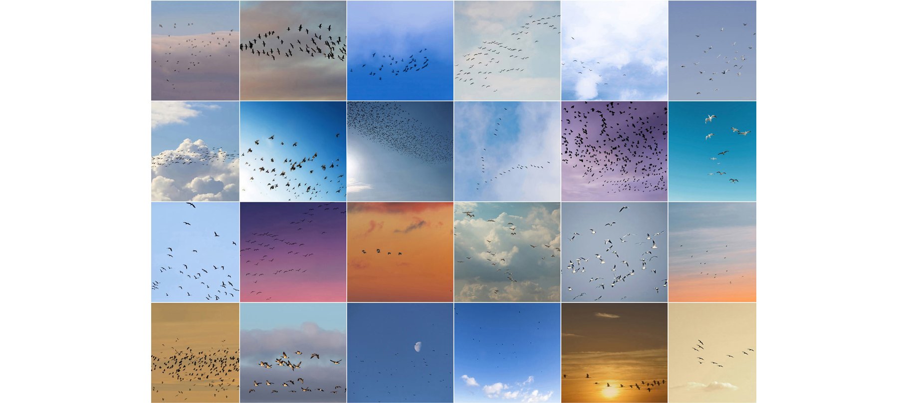 birds sky replacement pack 7 372