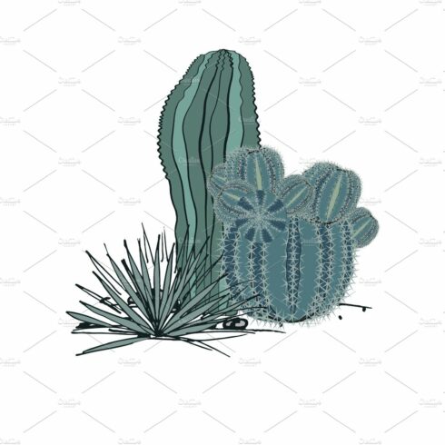 Drawing of a cactus and a plant on a white background.