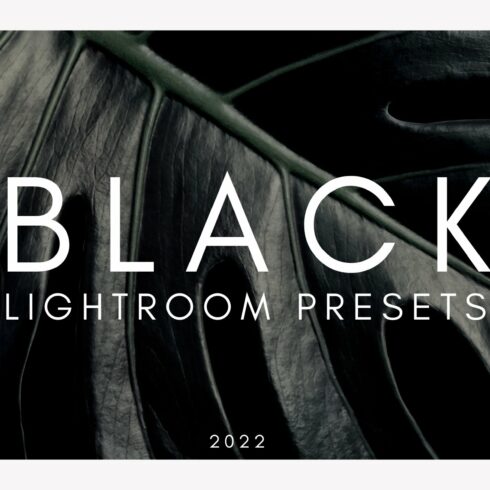 Black Lightroom Presets Collectioncover image.