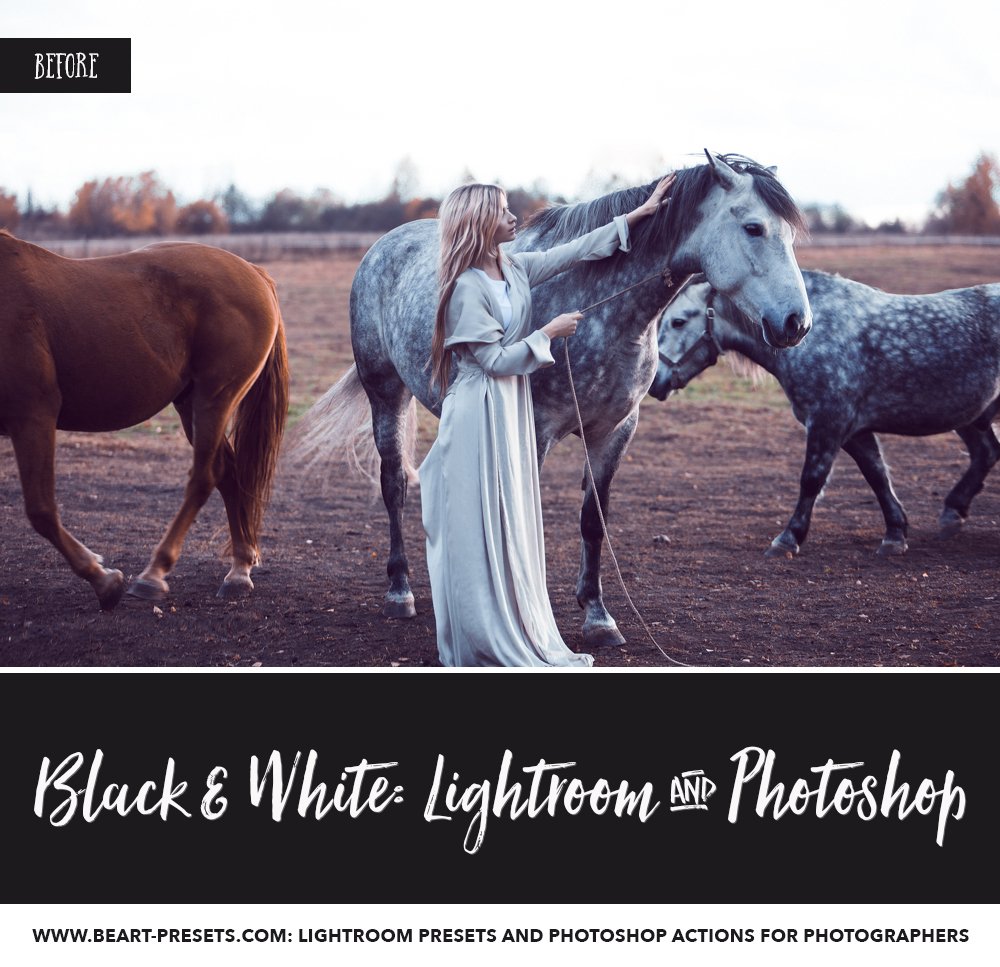 black and white lightroom presets 4 911