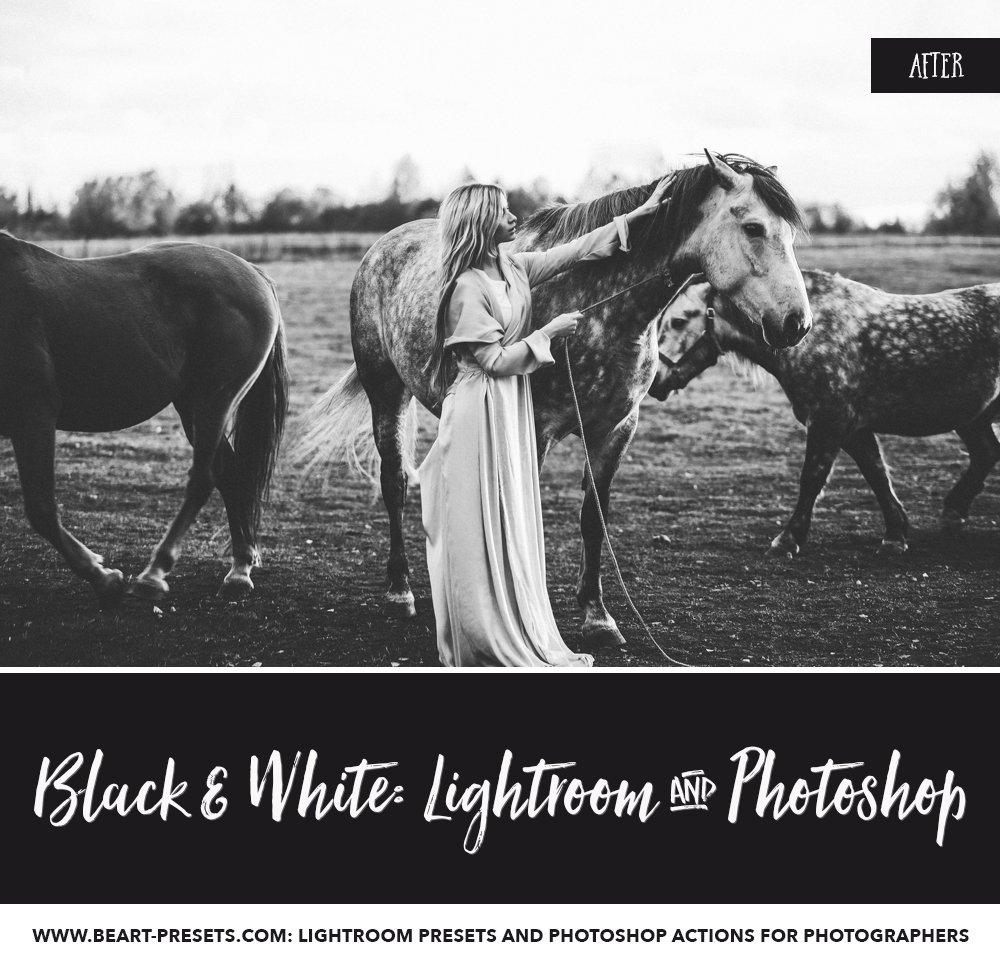 black and white lightroom presets 5 746