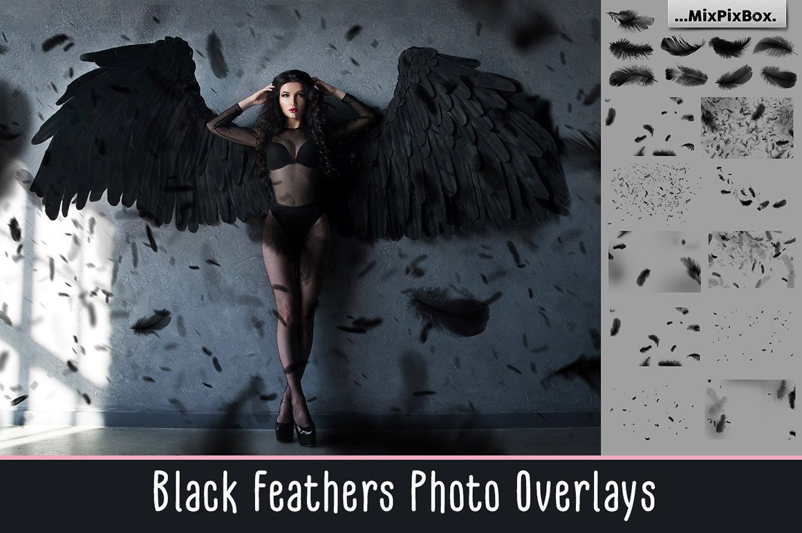 black feathers first image 266