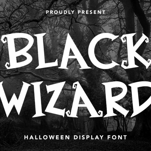 Black Wizard - Halloween Display cover image.