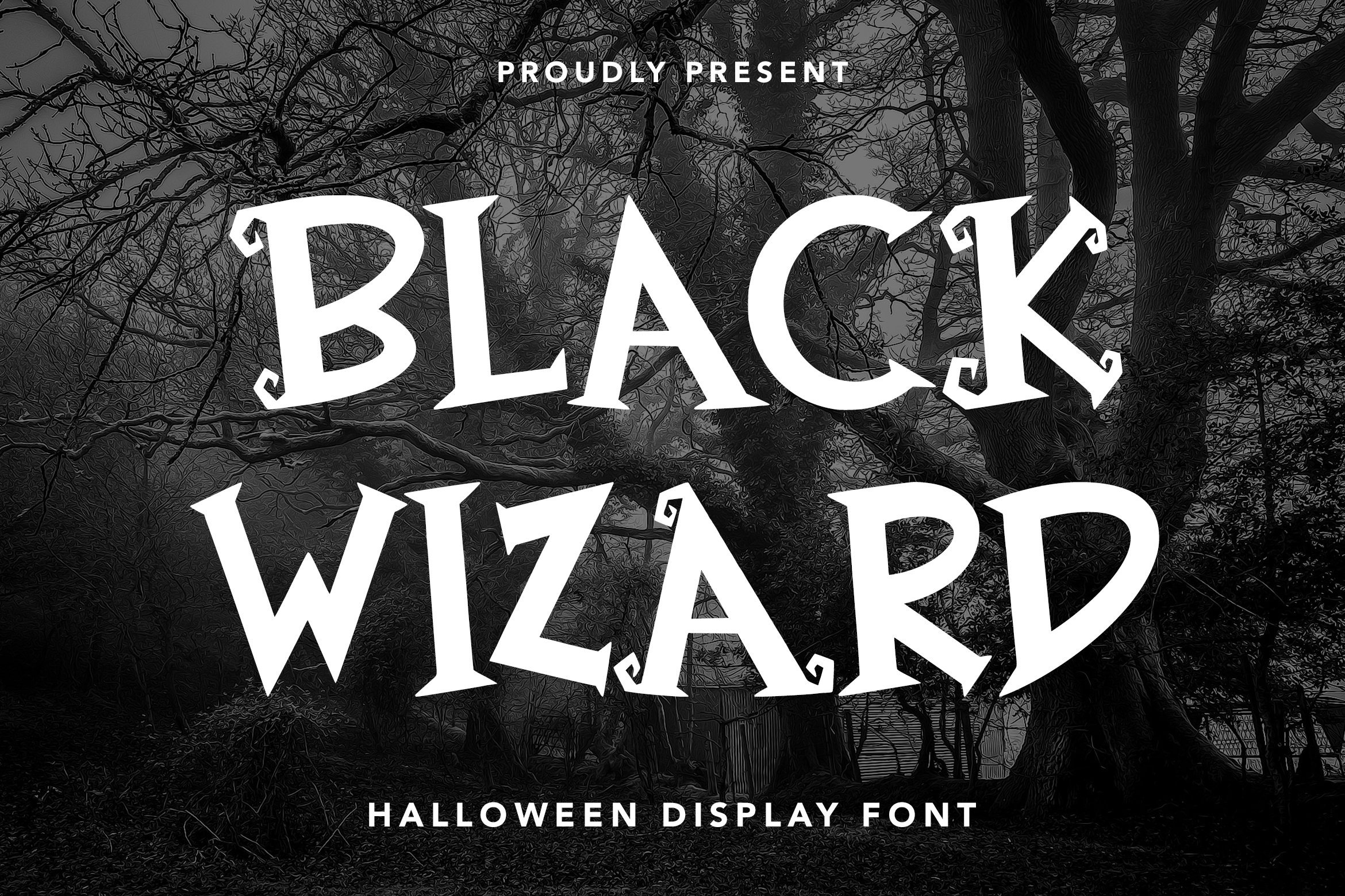 Black Wizard - Halloween Display cover image.