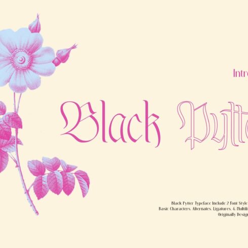 Black Pytter Typeface cover image.