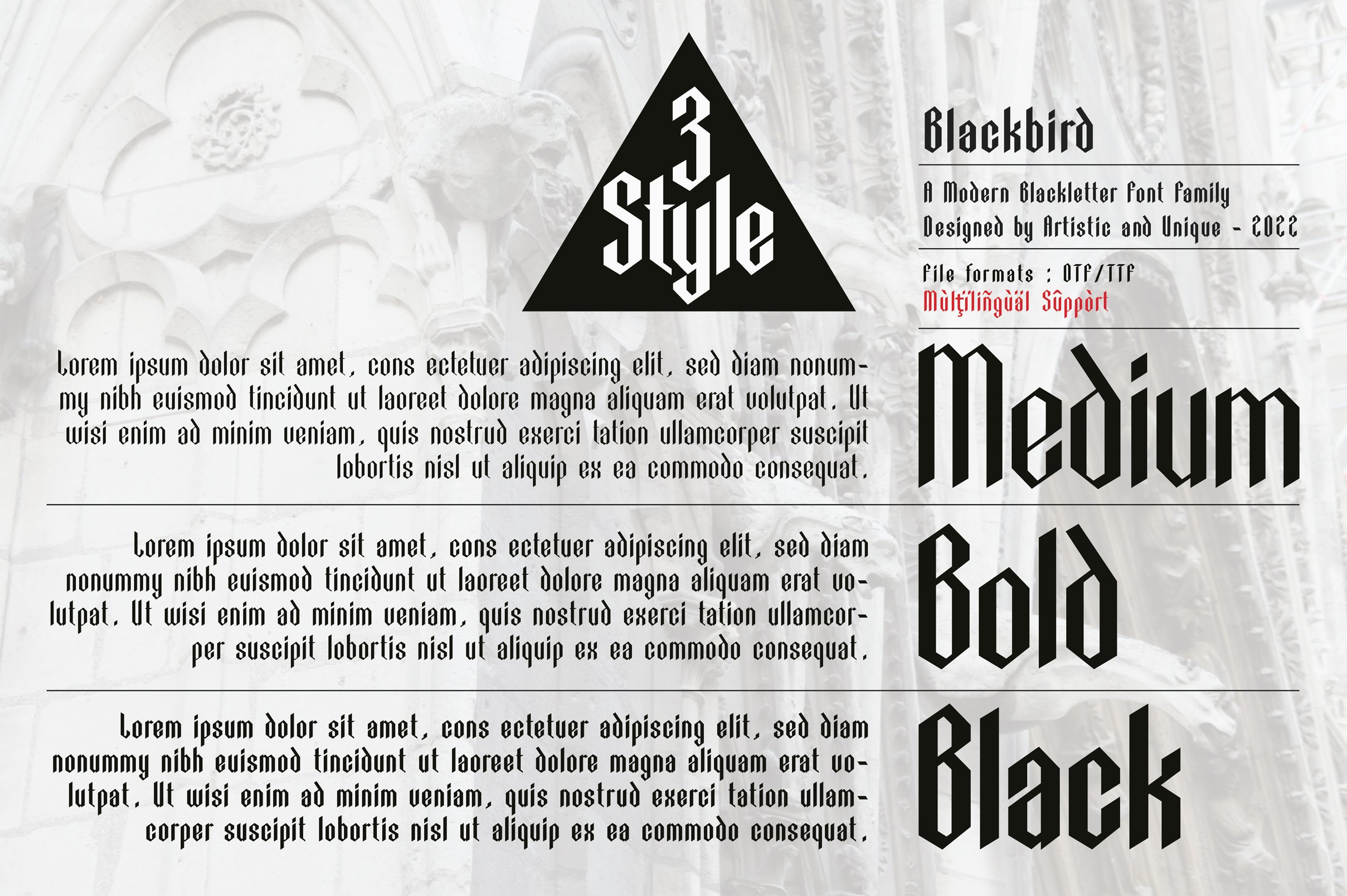 Blackbird - Blackletter font family preview image.