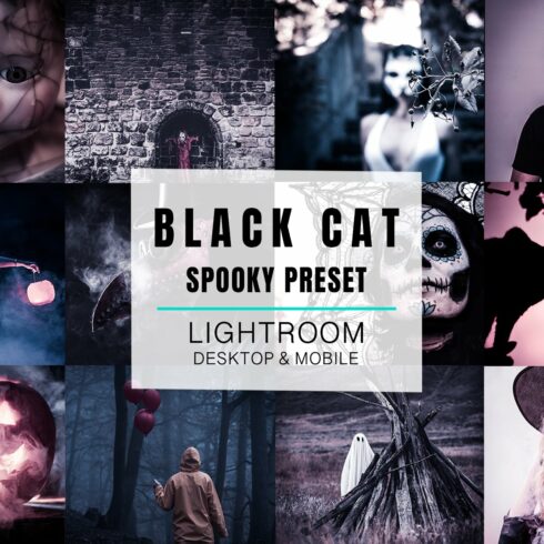 Lightroom Preset - Black Catcover image.