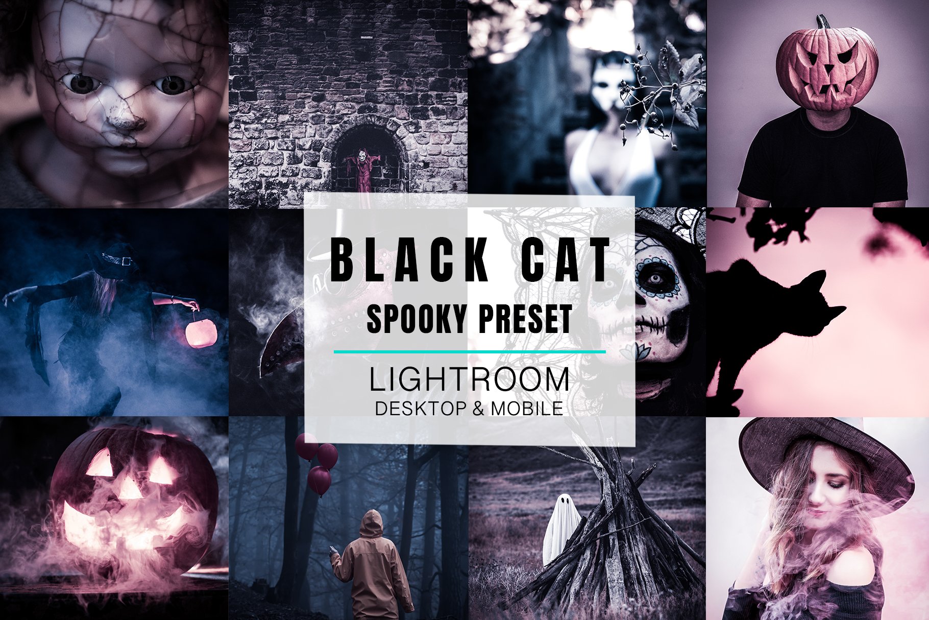 Lightroom Preset - Black Catcover image.