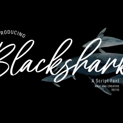 Blacksharks Script Font cover image.