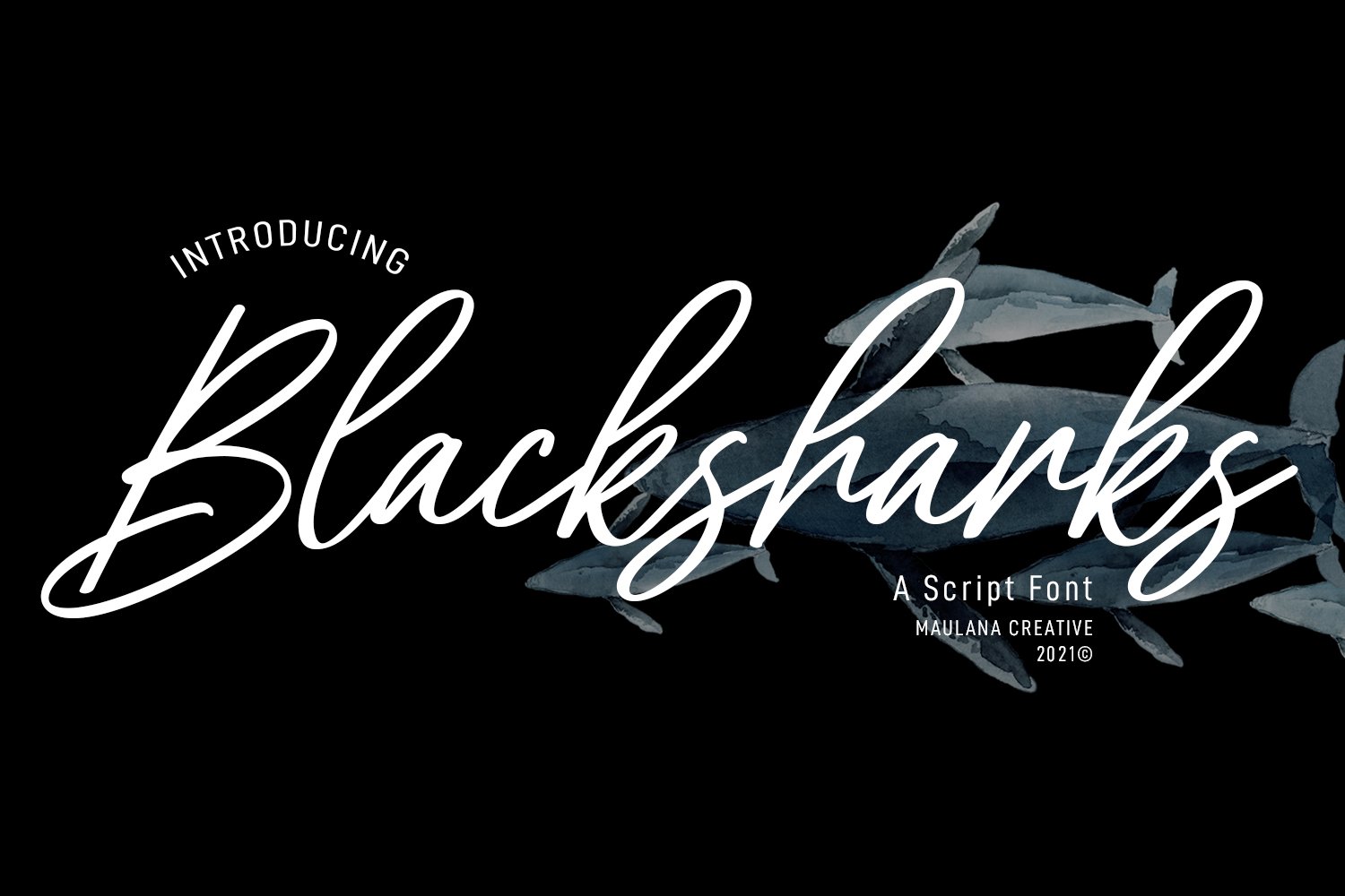 Blacksharks Script Font cover image.