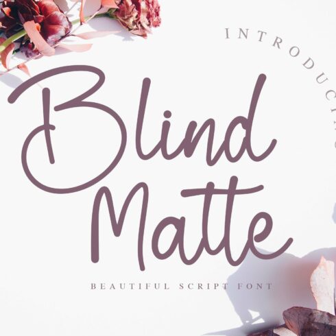 Blind Matte - Script Font cover image.