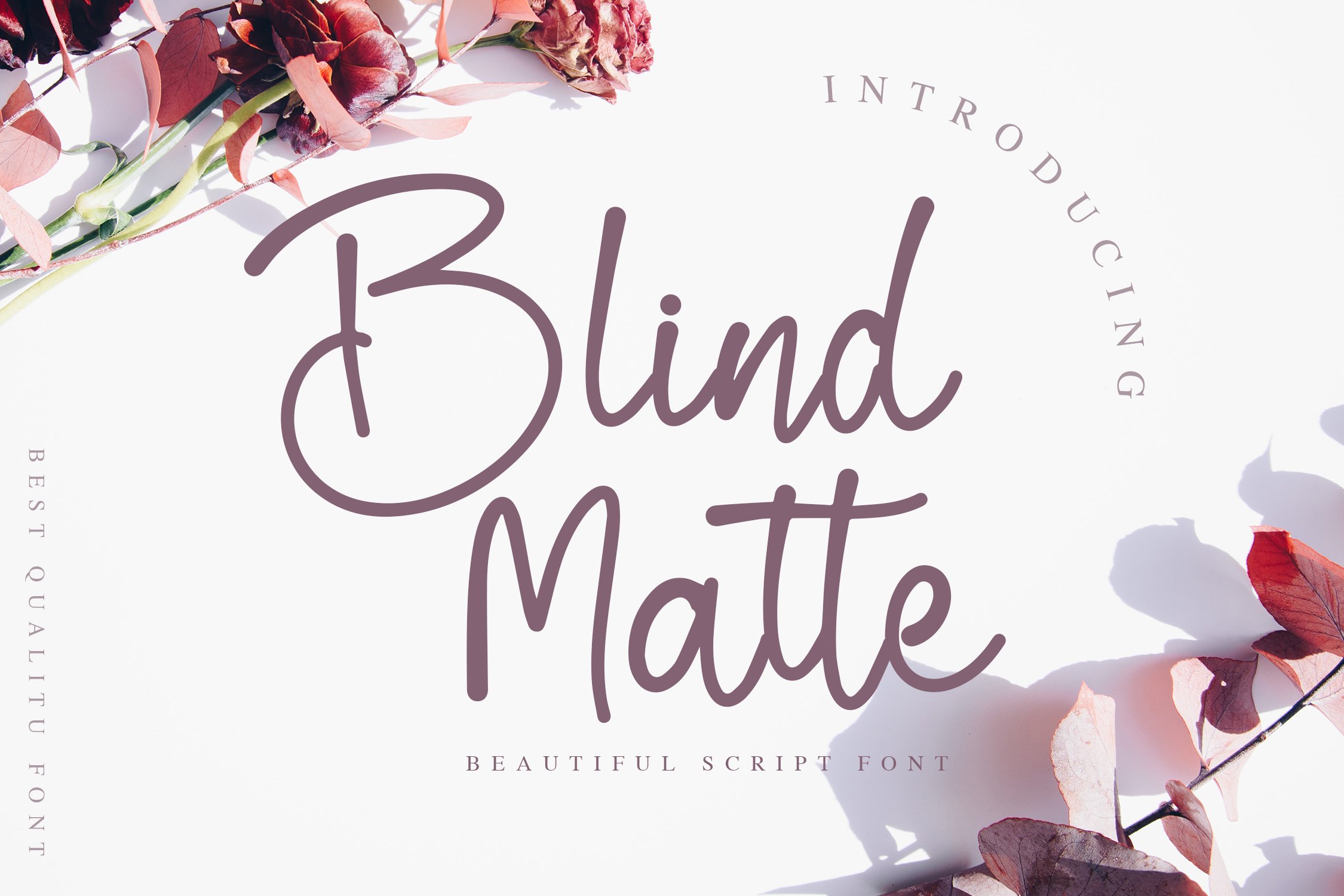 Blind Matte - Script Font cover image.