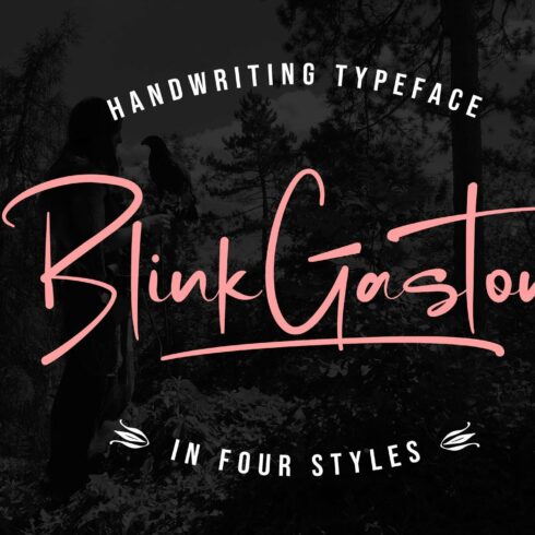 Blink Gastoncover image.