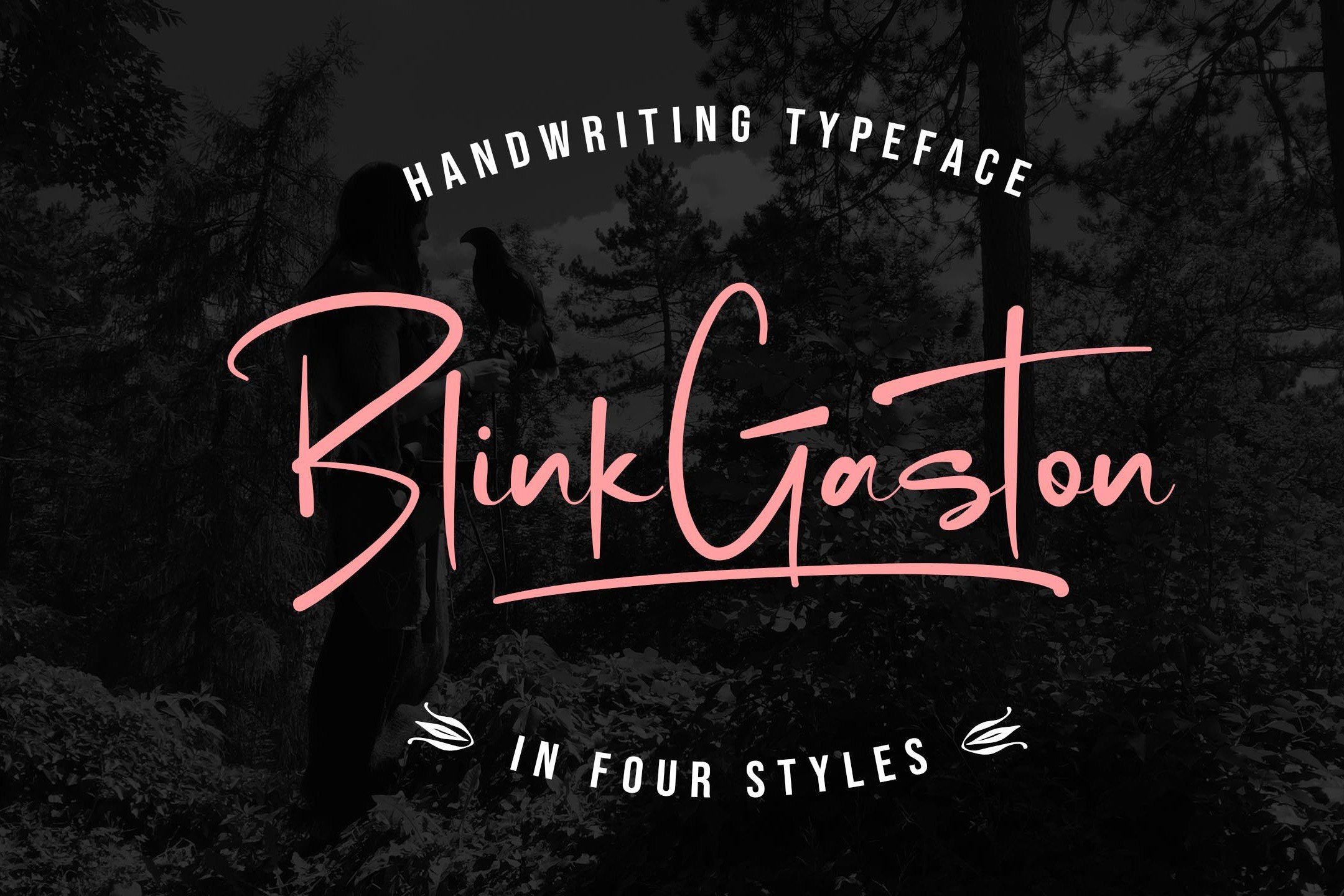 Blink Gastoncover image.