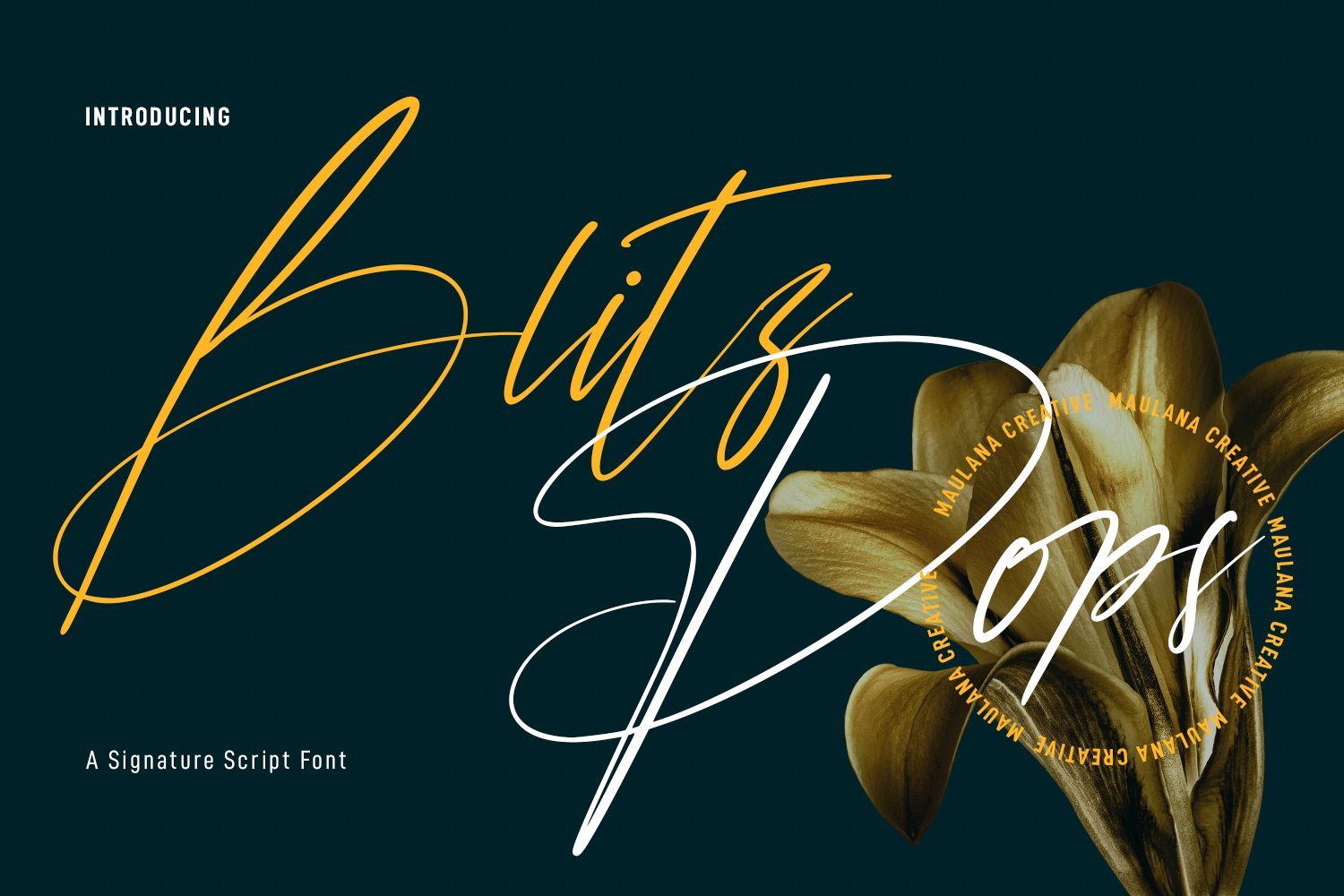 Blitz Pops Signature Script Font cover image.