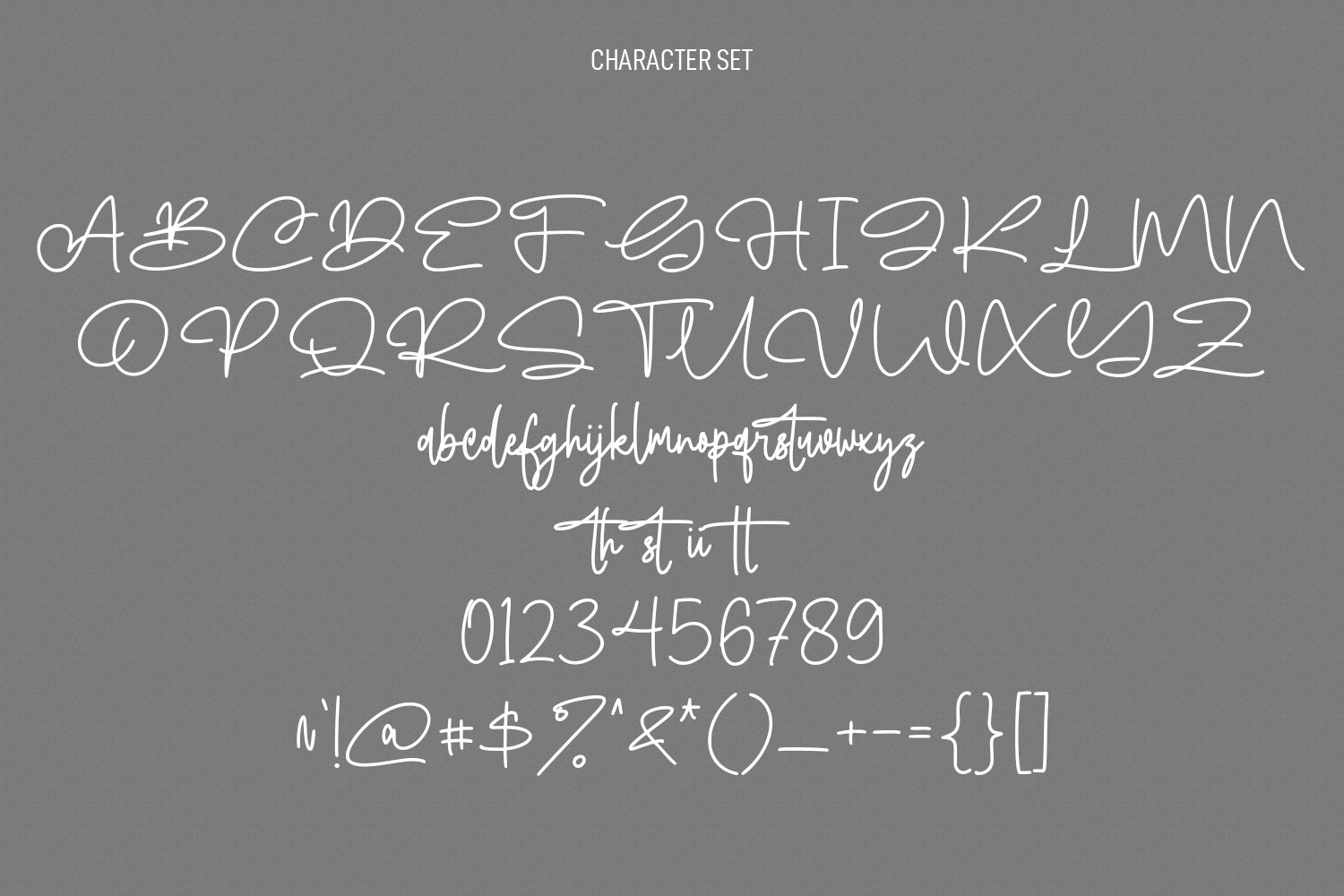 blofishing modern signature script font 8 779