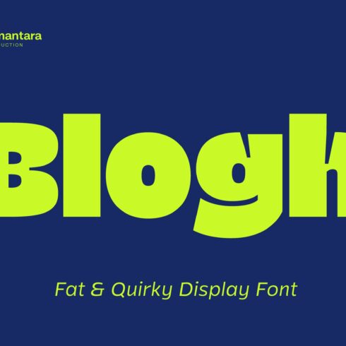 Blogh; Fat and Quirky Display Font cover image.