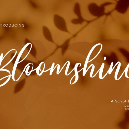 Bloomshine Script Font cover image.