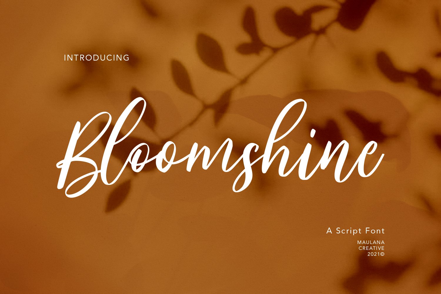 Bloomshine Script Font cover image.