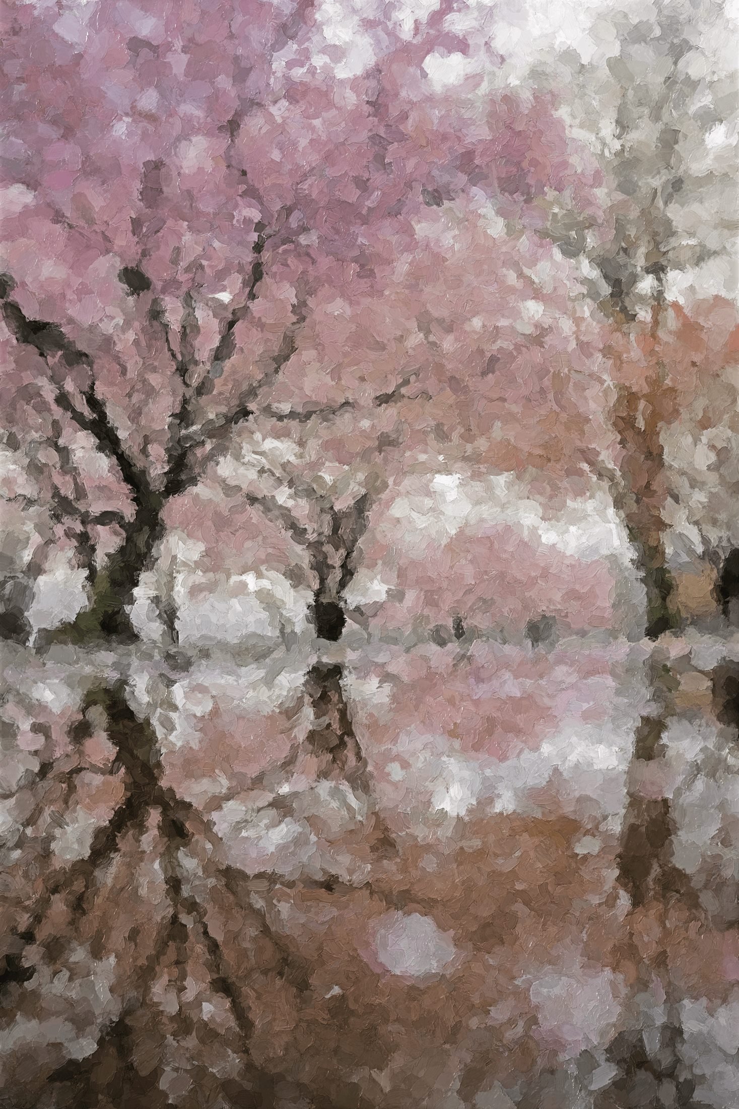 blossomtrees 244