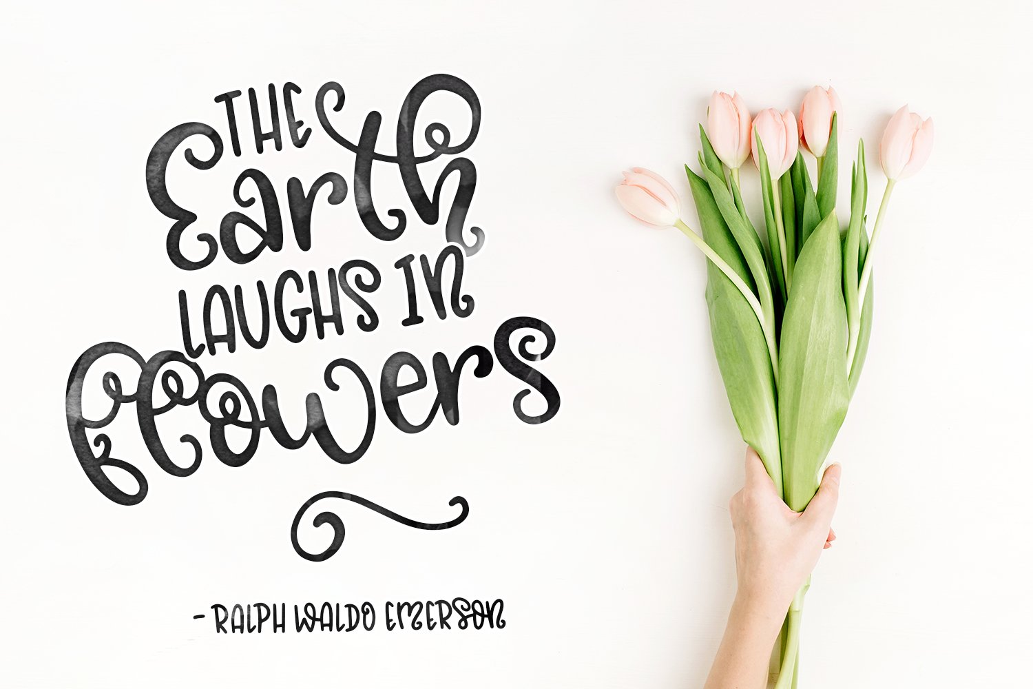 blossomy showcase font duo bonus doodles 8 761