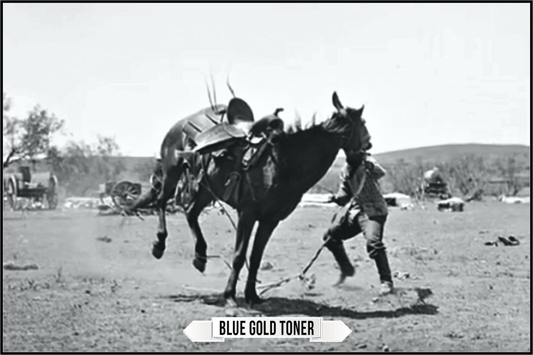 blue gold toner 961