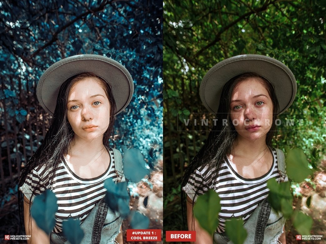 blue lightroom presets 185