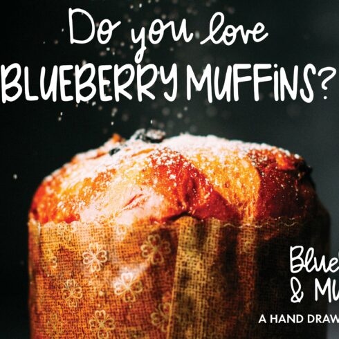 Blueberry Muffin hand drawn font duo cover image.