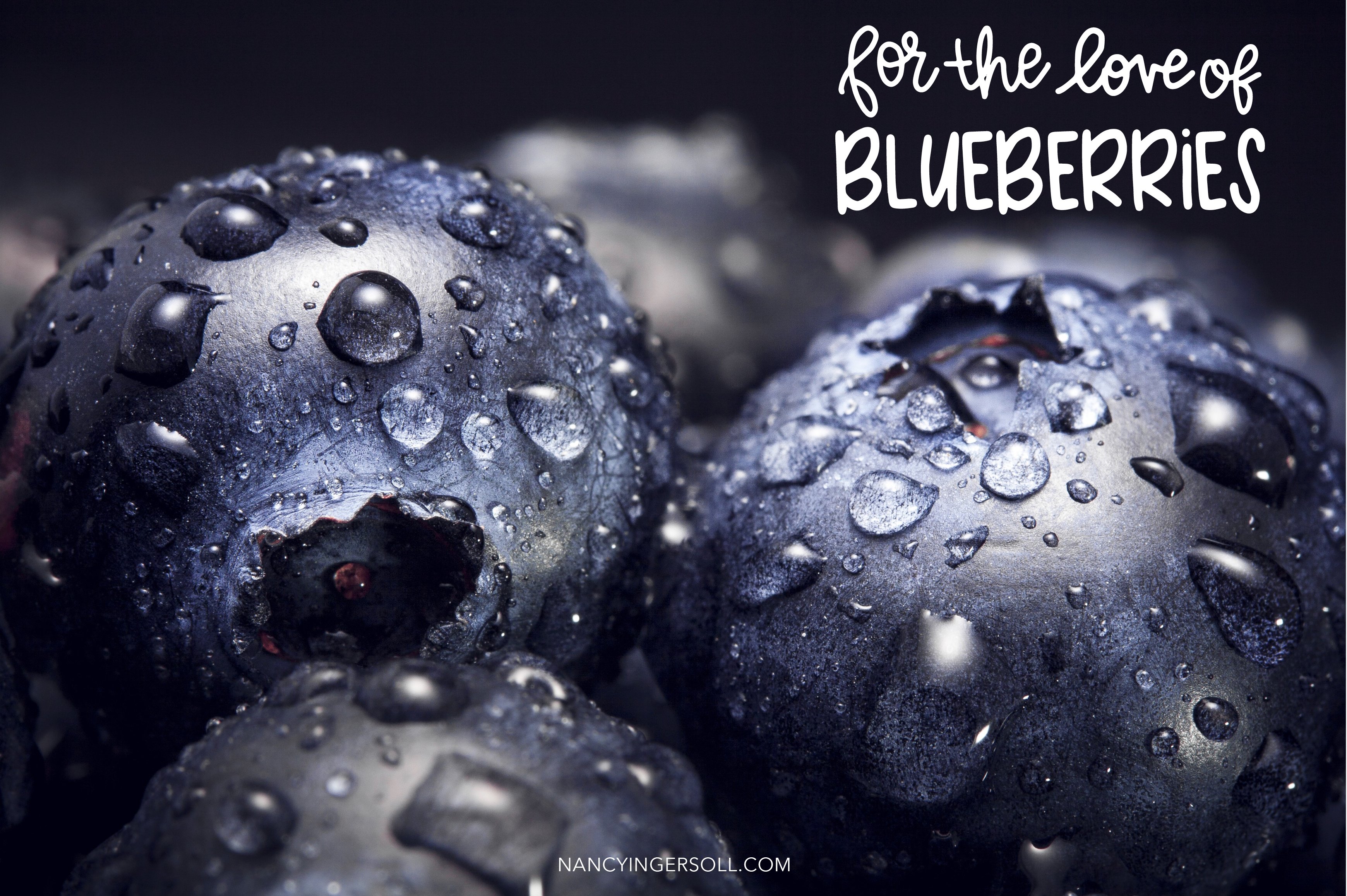 Blueberry Muffin hand drawn font duo preview image.