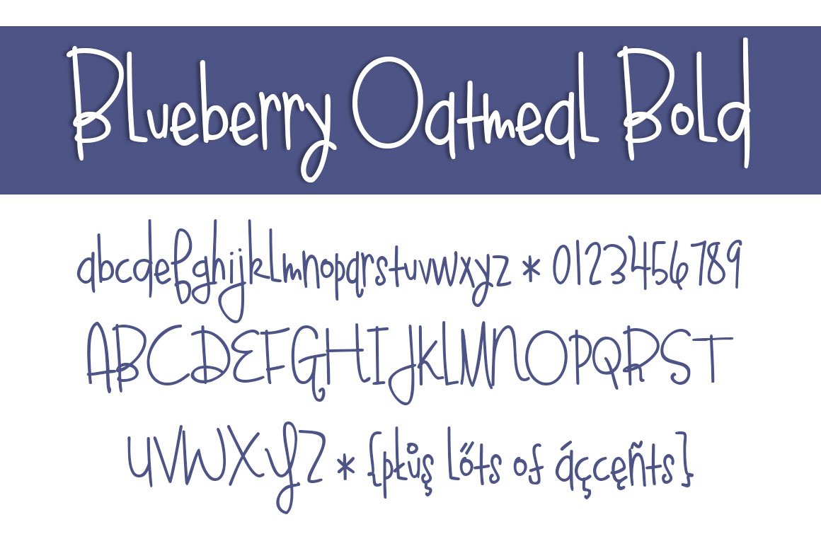 blueberry oatmeal bold 471