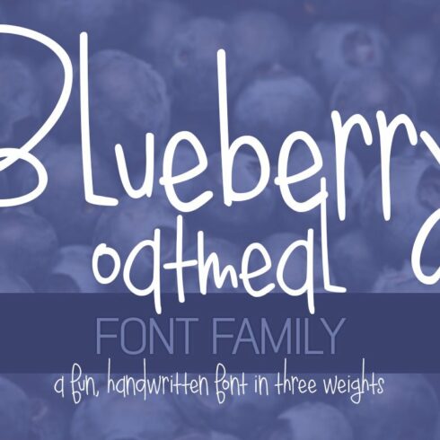 Blueberry Oatmeal Font Family cover image.