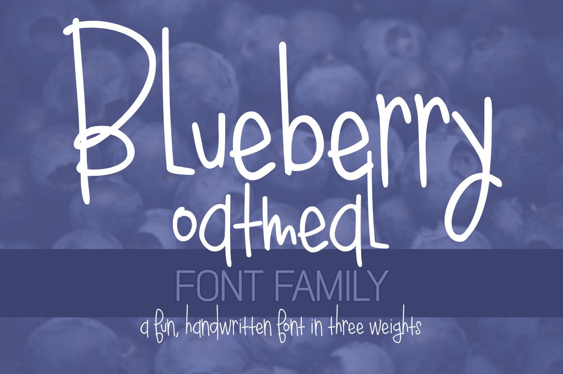 Blueberry Oatmeal Font Family cover image.