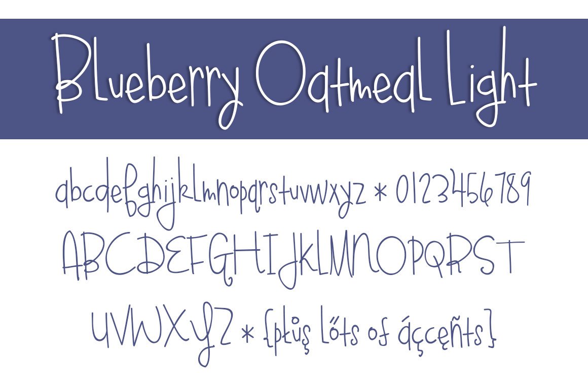 blueberry oatmeal light 522