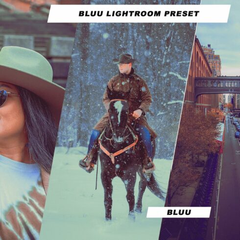 Bluu Lightroom Presetcover image.