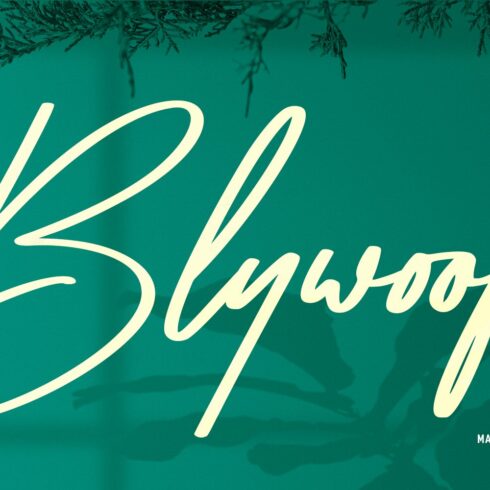 Blywoofs Signature Font cover image.