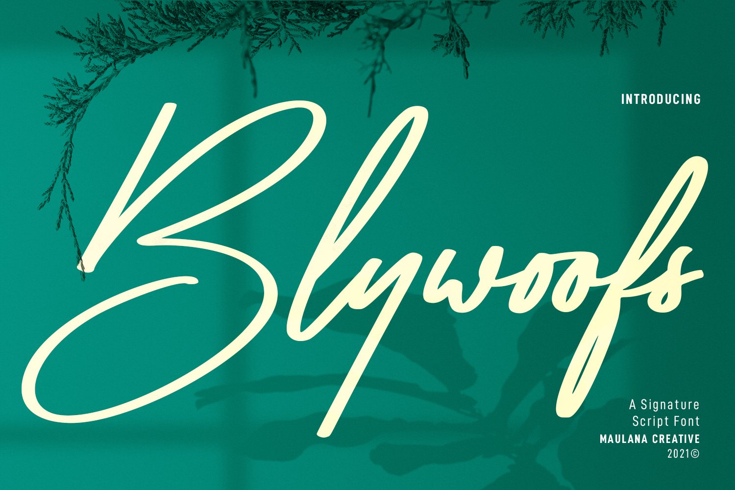 Blywoofs Signature Font cover image.