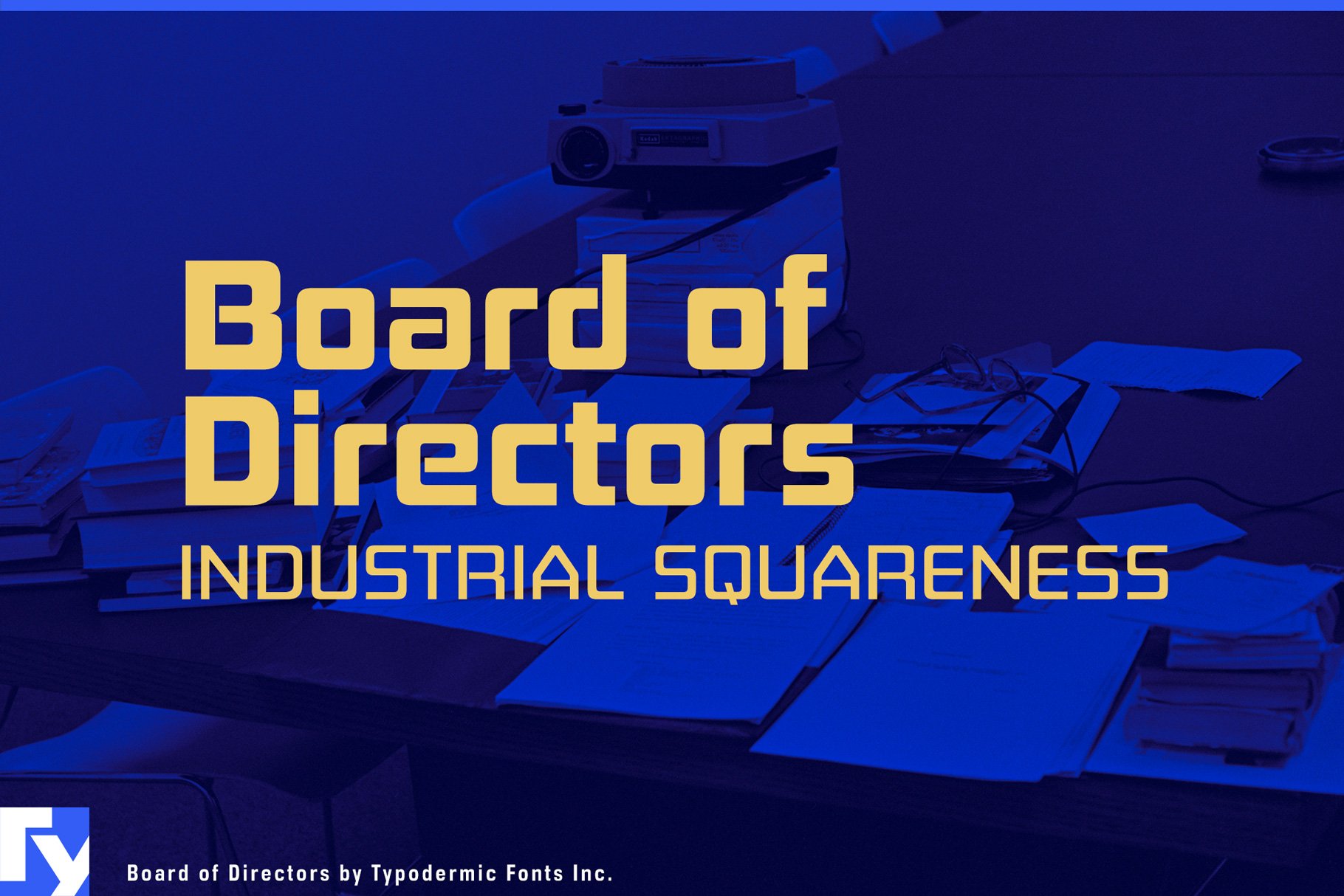 Board of Directors cover image.
