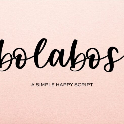 Bolabos Script Font cover image.