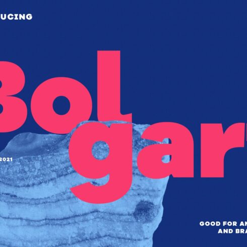 Bolgart Sans Serif Display Font cover image.