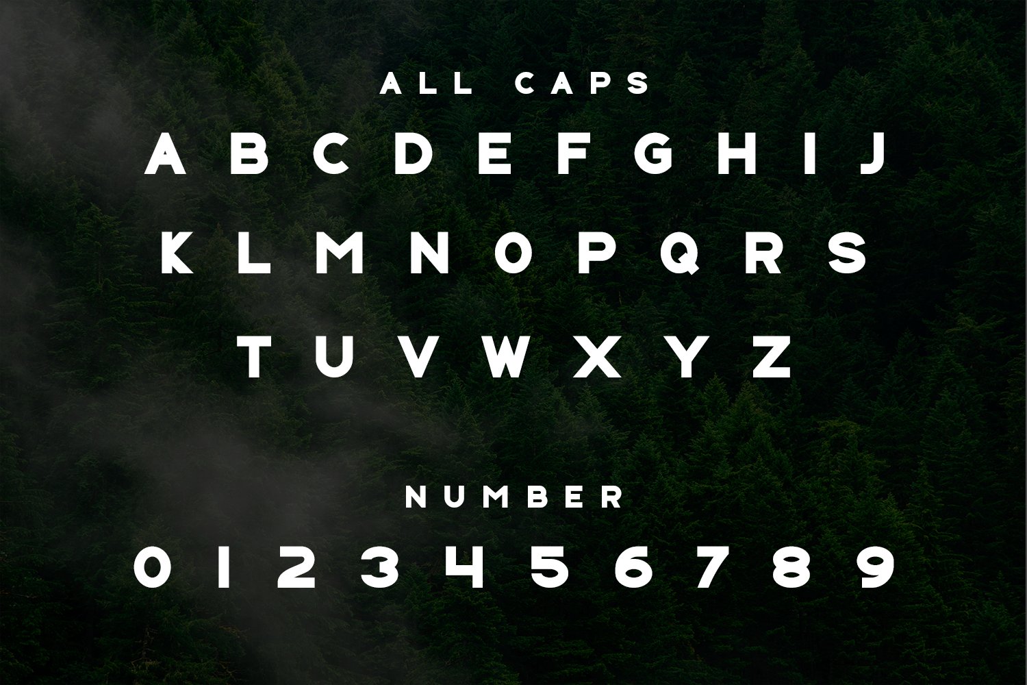 A black and white font with a forest in the background.