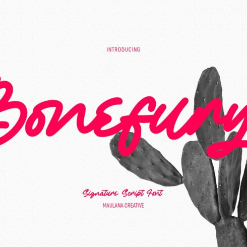 Bonefurys Handwritten Script Font cover image.