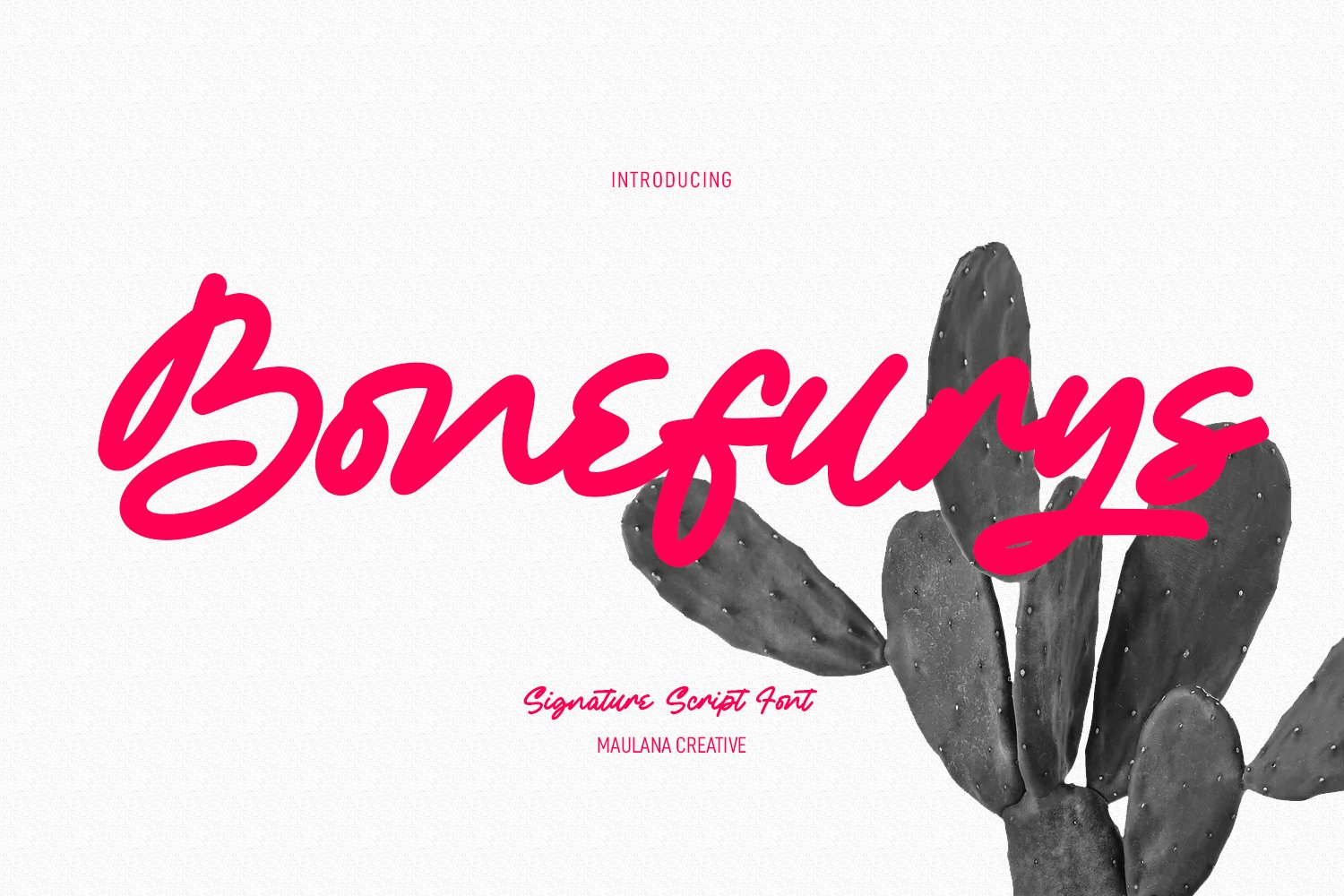 Bonefurys Handwritten Script Font cover image.