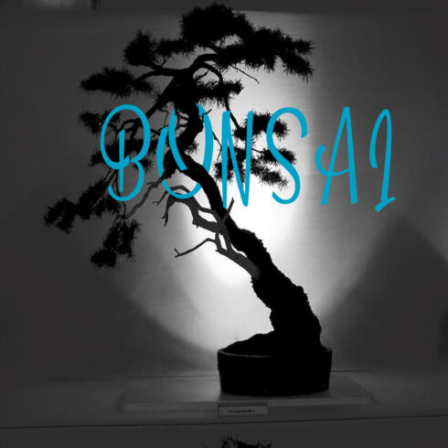 Bonsai - infographic cover image.