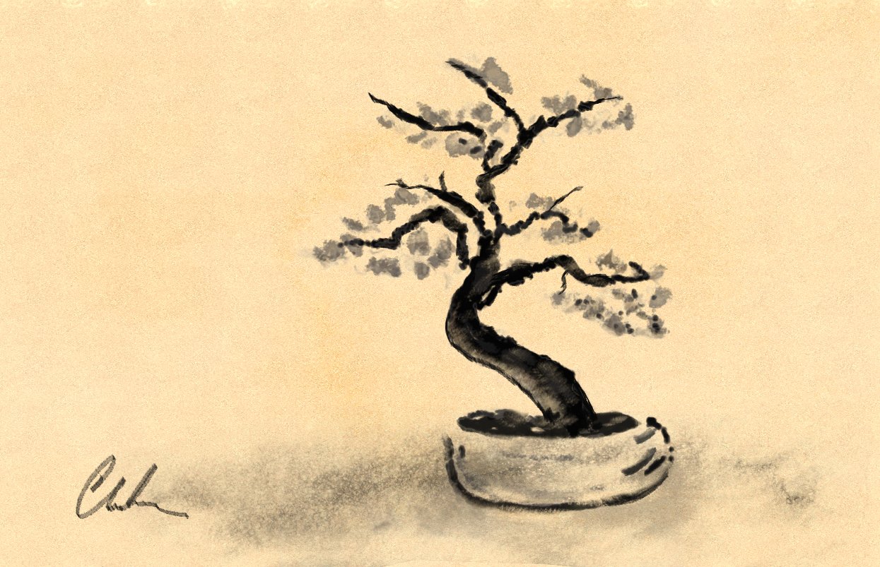 bonsai tree 602